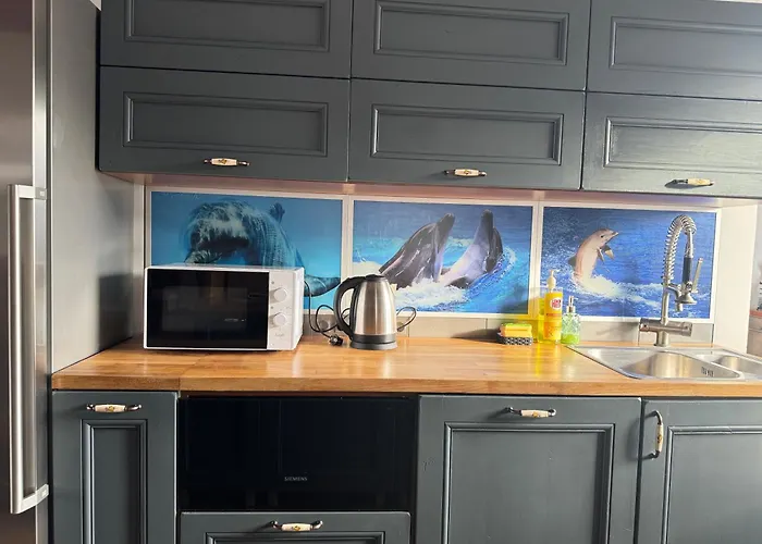 View In Center Of Brasov, Afi